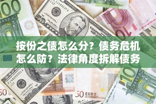 武汉按份之债怎么分？债务危机怎么防？法律角度拆解债务分配与风险自保指南