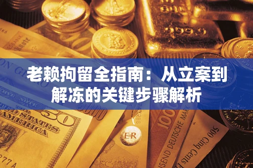 武汉老赖拘留全指南：从立案到解冻的关键步骤解析