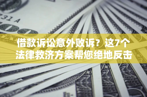 武汉借款诉讼意外败诉？这7个法律救济方案帮您绝地反击！