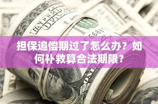 武汉担保追偿期过了怎么办？如何补救算合法期限？