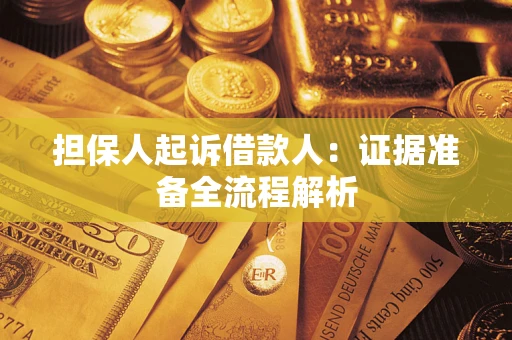武汉担保人起诉借款人：证据准备全流程解析