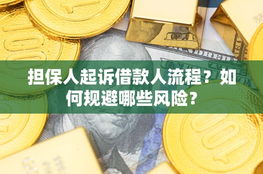 武汉担保人起诉借款人流程？如何规避哪些风险？