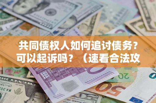 武汉共同债权人如何追讨债务？可以起诉吗？（速看合法攻略）