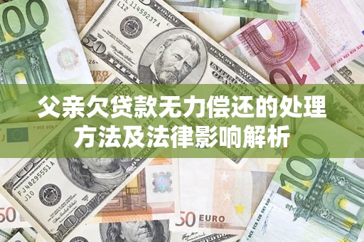 武汉父亲欠贷款无力偿还的处理方法及法律影响解析